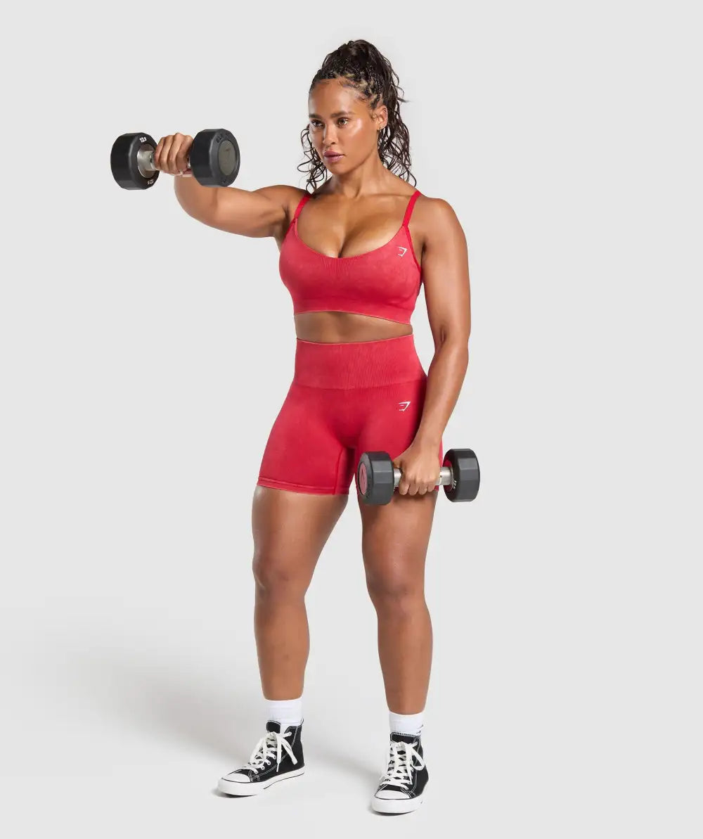Gains Seamless Washed Sports Bra