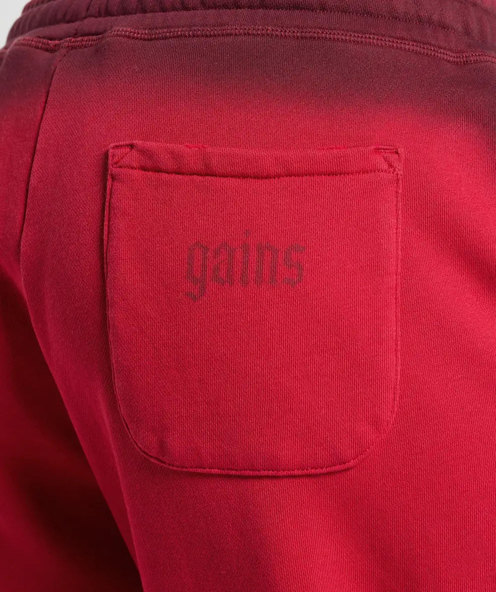Gains Washed Loopback Joggers