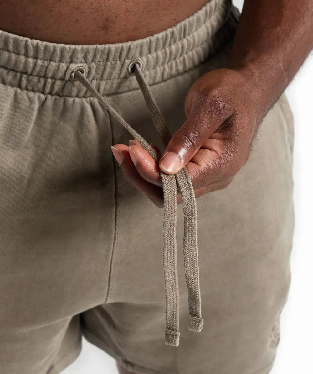 Premium Legacy Shorts