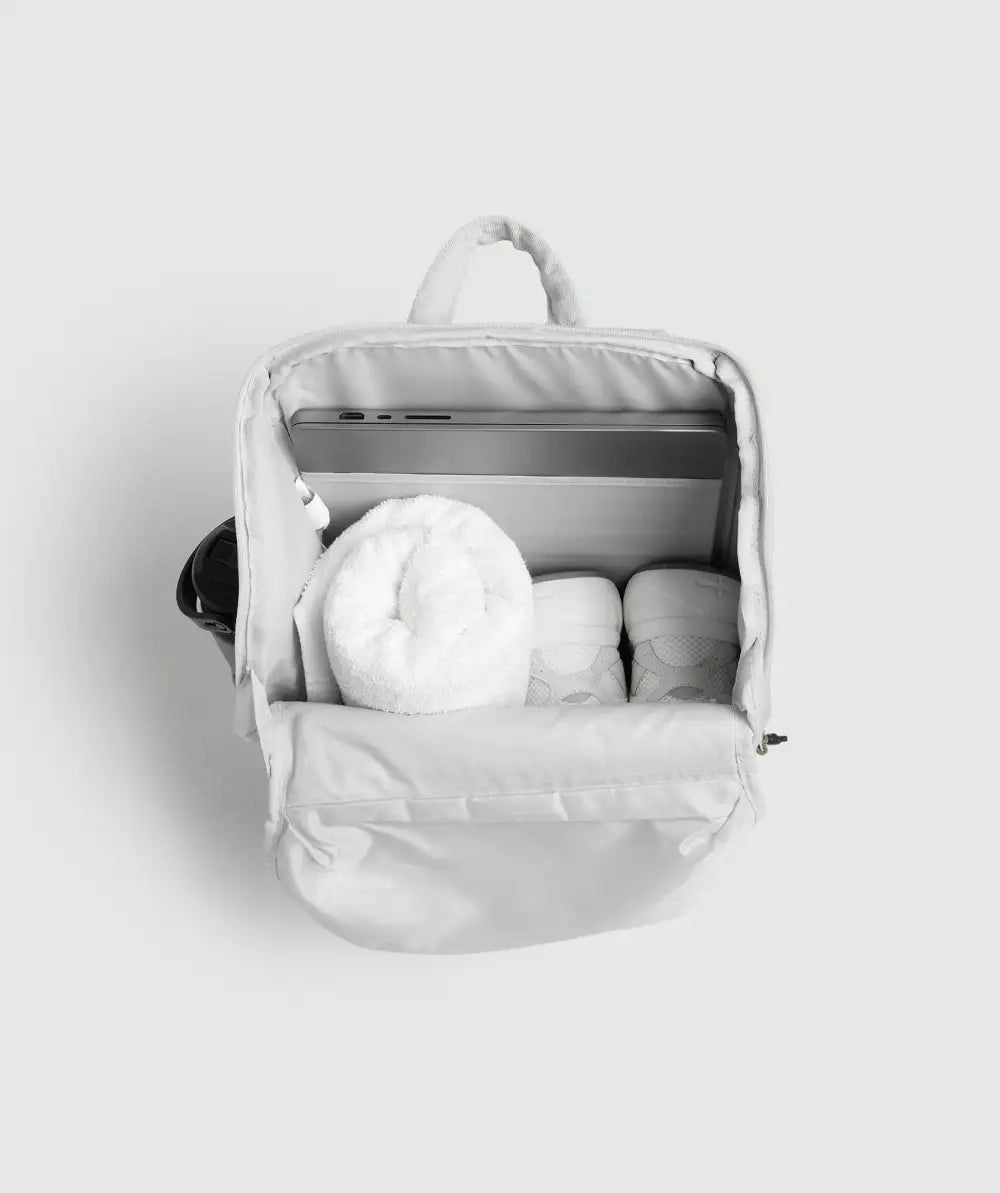 Sleek Backpack